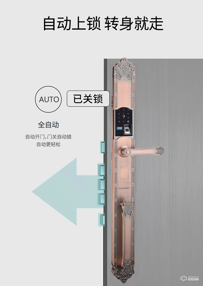 揚子智能鎖 T06豪華別墅式智能鎖