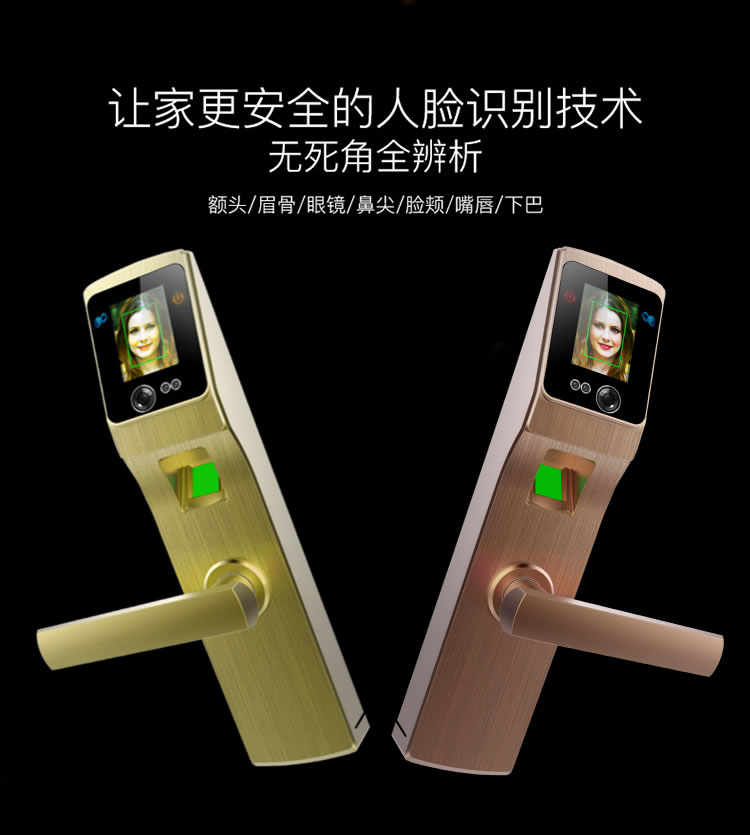 道思智能鎖 智能鎖(紅古銅)智能觸摸開機(jī)、持久耐用