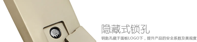 豪力士指紋鎖智能鎖 D3633F木門鐵門密碼鎖防盜門鎖 手機(jī)AAP感應(yīng)電子鎖