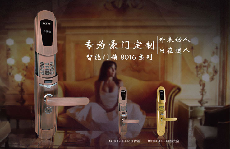 同創(chuàng)新佳智能鎖 家用智能密碼防盜鎖