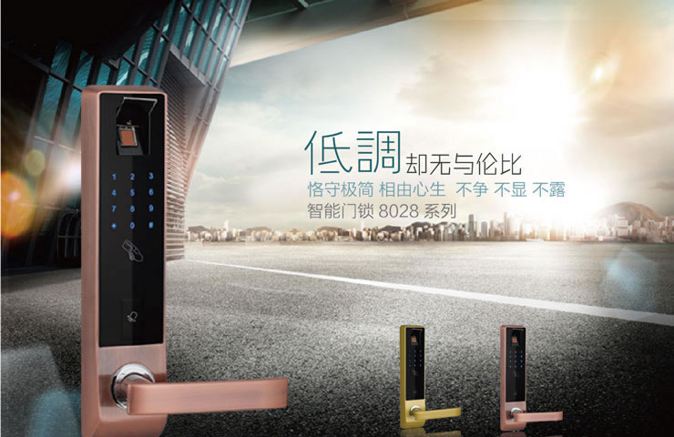 同創(chuàng)新佳智能鎖 家用智能密碼防盜鎖