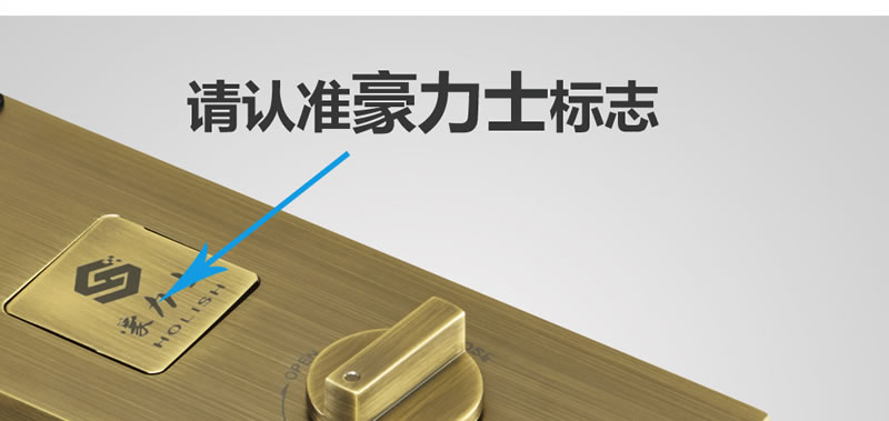 豪力士指紋鎖 D3310F家用防盜門智能鎖大門鎖電子鎖手機APP感應鎖密碼鎖