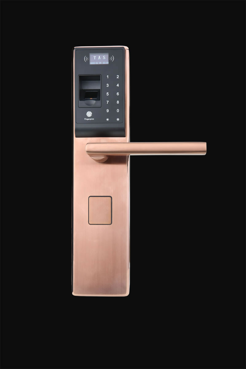 孚頓智控指紋鎖 直板指紋密碼鎖 防盜門電子刷卡鎖