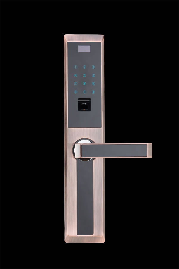 孚頓智控智能鎖 智能指紋密碼鎖 直板智能門鎖