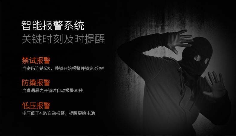 斑點貓智能鎖 智能電子密碼鎖 滑蓋指紋鎖