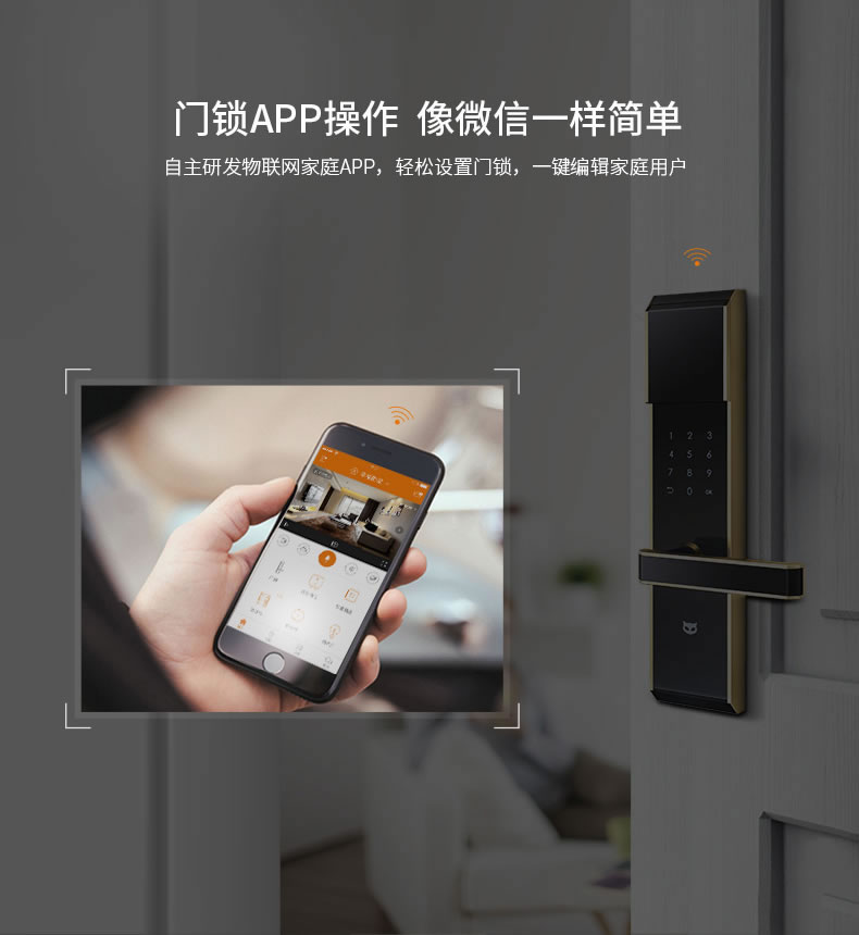 斑點(diǎn)貓指紋鎖 物聯(lián)網(wǎng)指紋鎖防盜電子密碼鎖