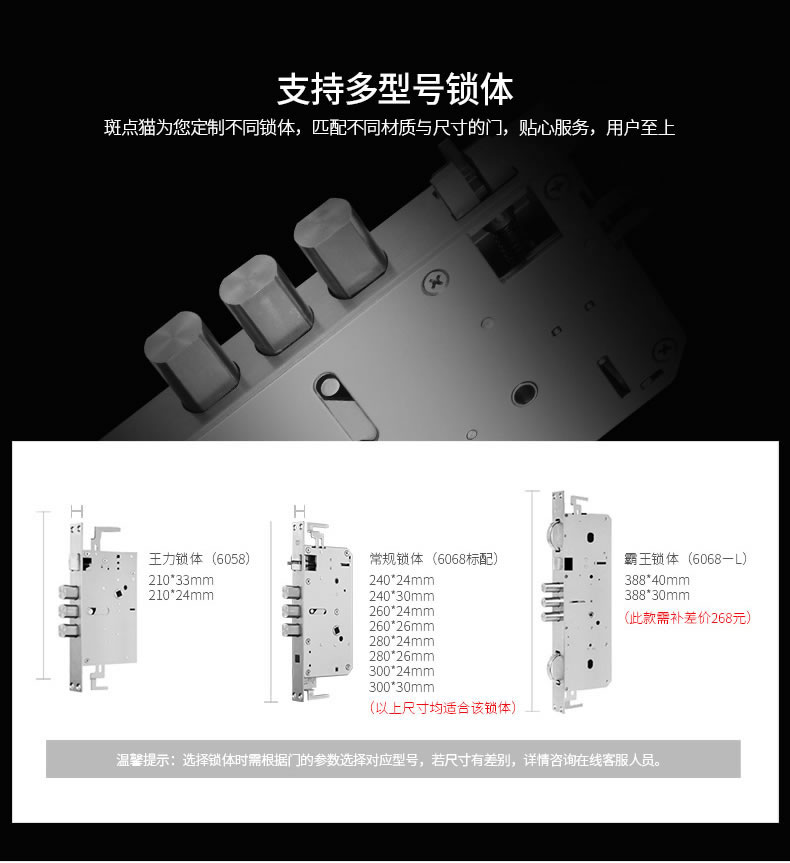 斑點(diǎn)貓指紋鎖 物聯(lián)網(wǎng)指紋鎖防盜電子密碼鎖