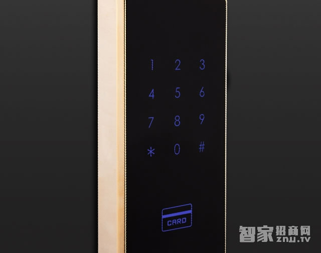 voc防盜門指紋T551智能鎖 五種開鎖方式