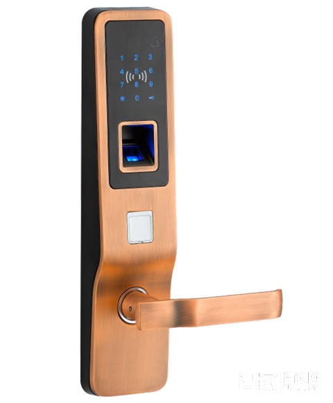 特安捷智能鎖 直板智能指紋密碼鎖 家用防盜門鎖