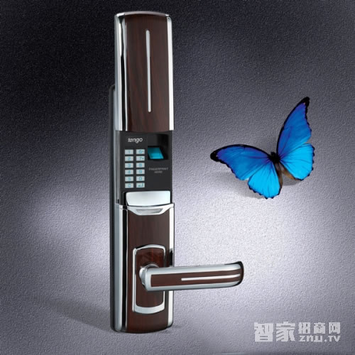 TENGO天固滑蓋自動下滑指紋鎖 家用防盜門智能鎖 時尚便捷