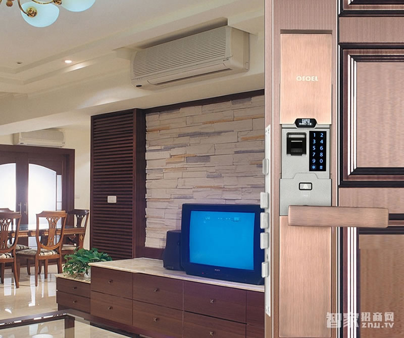 歐索爾智能鎖別墅指紋密碼鎖 家用防盜門智能鎖