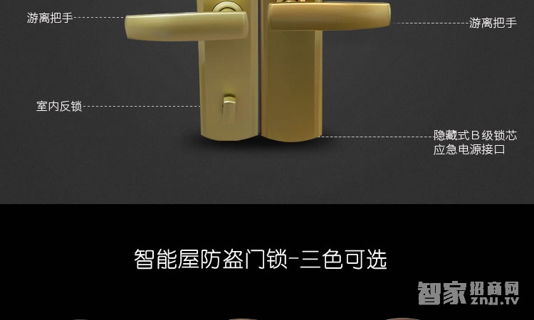 智能屋智能鎖 家用指紋密碼鎖（麗都金）