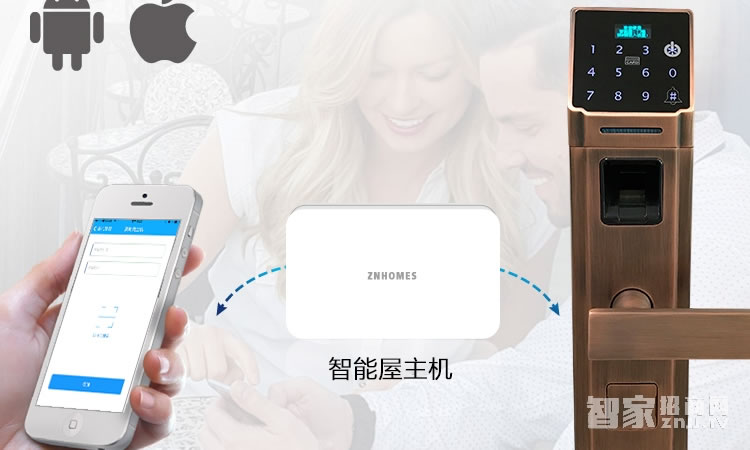 智能屋智能鎖 家用防盜智能鎖(紅古銅)