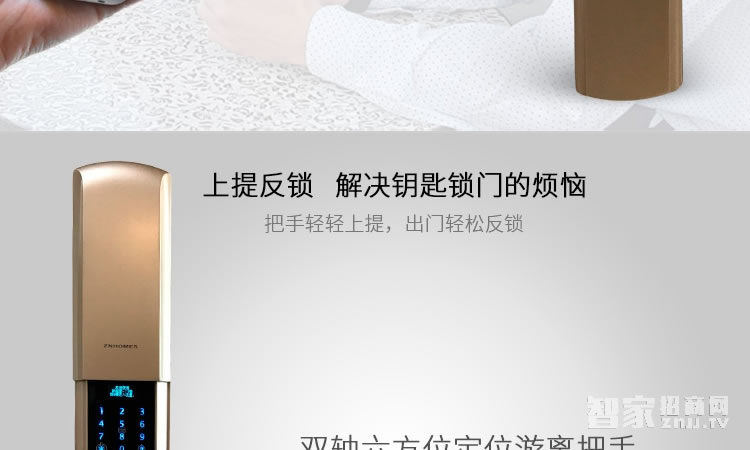 智能屋指紋鎖 家用智能鎖(香檳金)