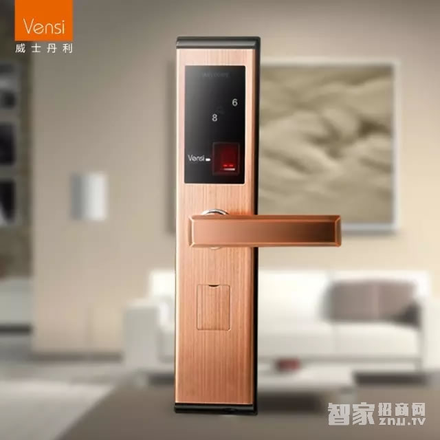 智能屋智能鎖 直板智能防盜鎖