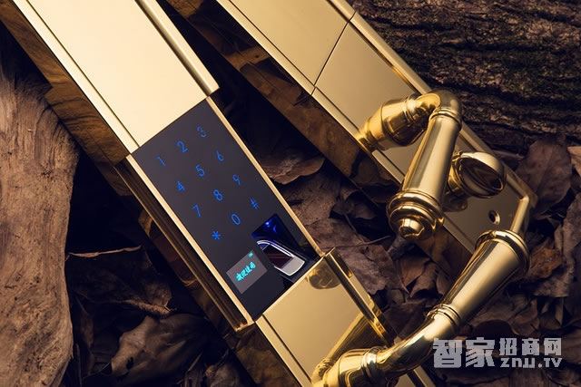 艾棲防盜銅門鎖 純銅手工制 德國進口電子門鎖