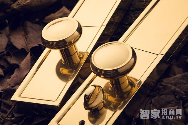 艾棲家用指紋鎖 純銅智能門鎖 高檔電子鎖