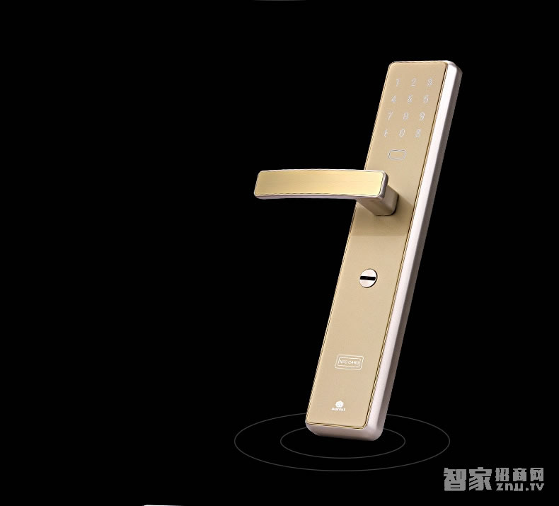 核桃智能鎖 手機(jī)藍(lán)牙開(kāi)鎖 智能卡鎖W2