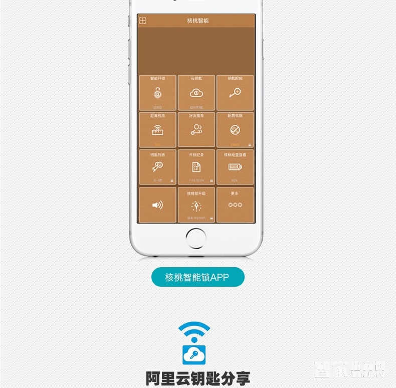 核桃智能鎖 手機(jī)藍(lán)牙開(kāi)鎖 智能卡鎖W2