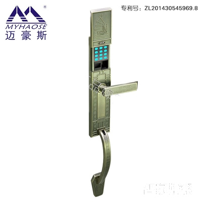 靈寶別墅滑蓋智能鎖 大門防盜電子密碼鎖