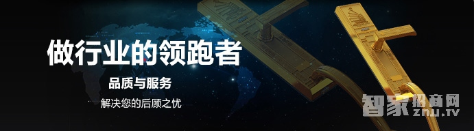 靈寶公寓防盜門智能鎖 家用電子感應鎖