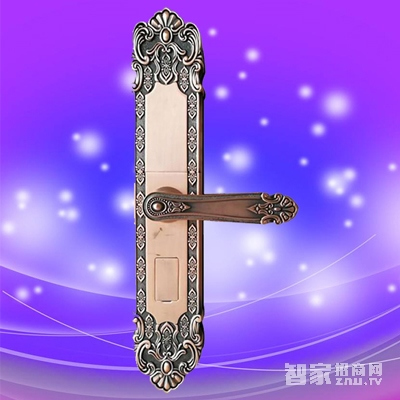 彬睿智能鎖 鋅合金滑蓋智能鎖 別墅防盜指紋密碼鎖