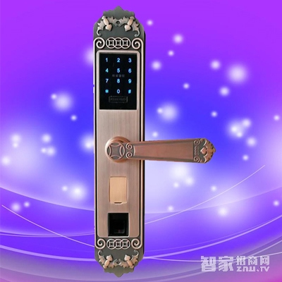 彬睿智能鎖 公寓大門(mén)防盜門(mén)鎖 家用指紋密碼鎖