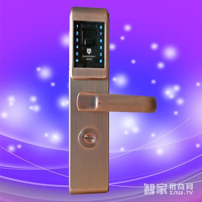 彬睿智能鎖 智能觸控指紋密碼鎖 家用大門電子鎖