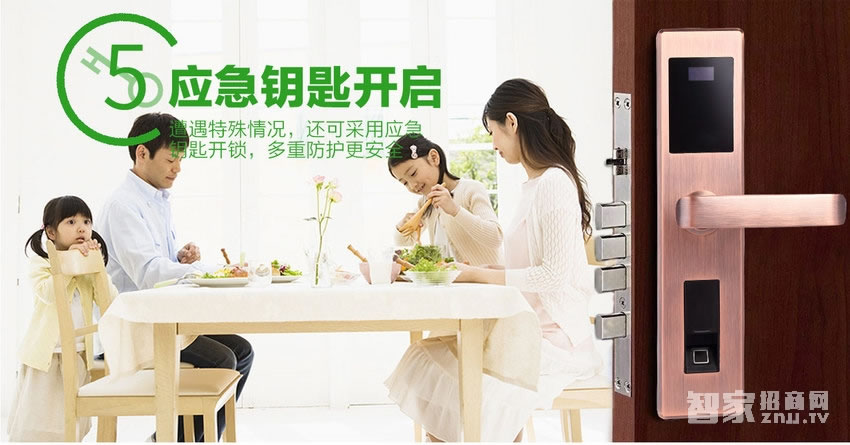 薩菲爾智能鎖 APP智能門鎖S01 家用防盜門指紋密碼鎖