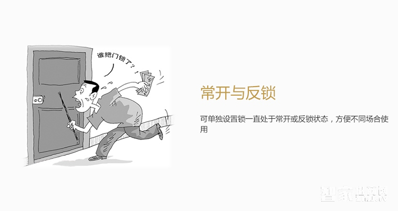 施肯洛克豪華智能鎖 防盜門電子密碼鎖