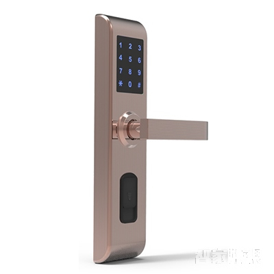 同飛達智能鎖 家用防盜指紋鎖 公寓大門電子密碼鎖