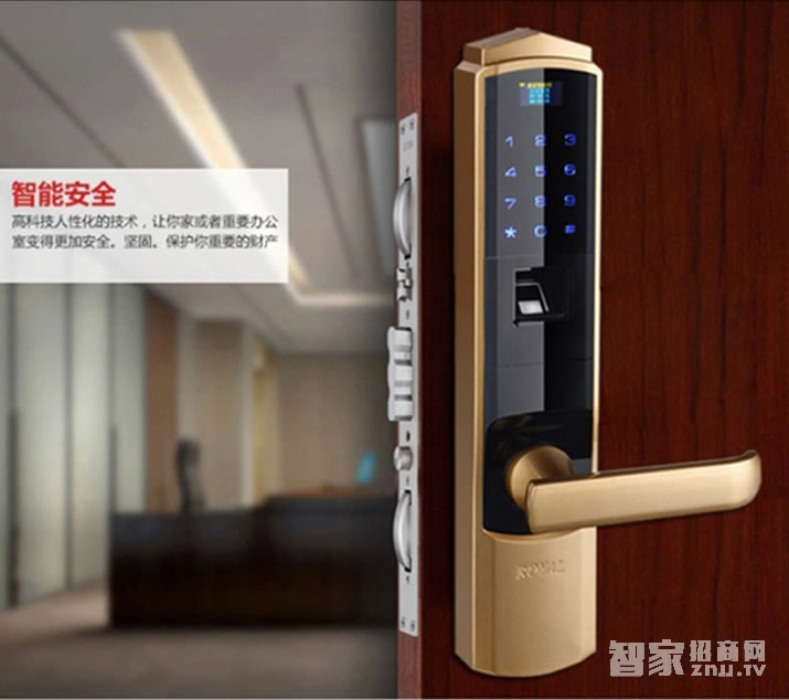 方潤斯家用智能鎖 光學指紋密碼鎖