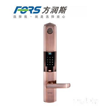 方潤斯別墅智能指紋鎖 大門室內電子密碼鎖