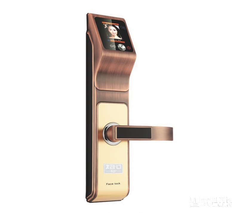 科護(hù)人臉識別智能鎖 家用防盜門鎖