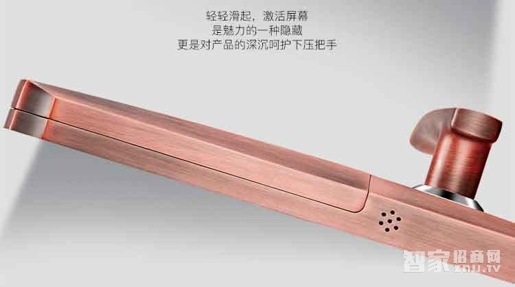 堅甲衛士瑞典指紋頭平滑蓋指紋鎖 密碼刷卡鎖