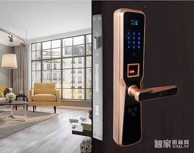 堅甲衛(wèi)士全自動四合一指紋鎖 防盜智能門鎖