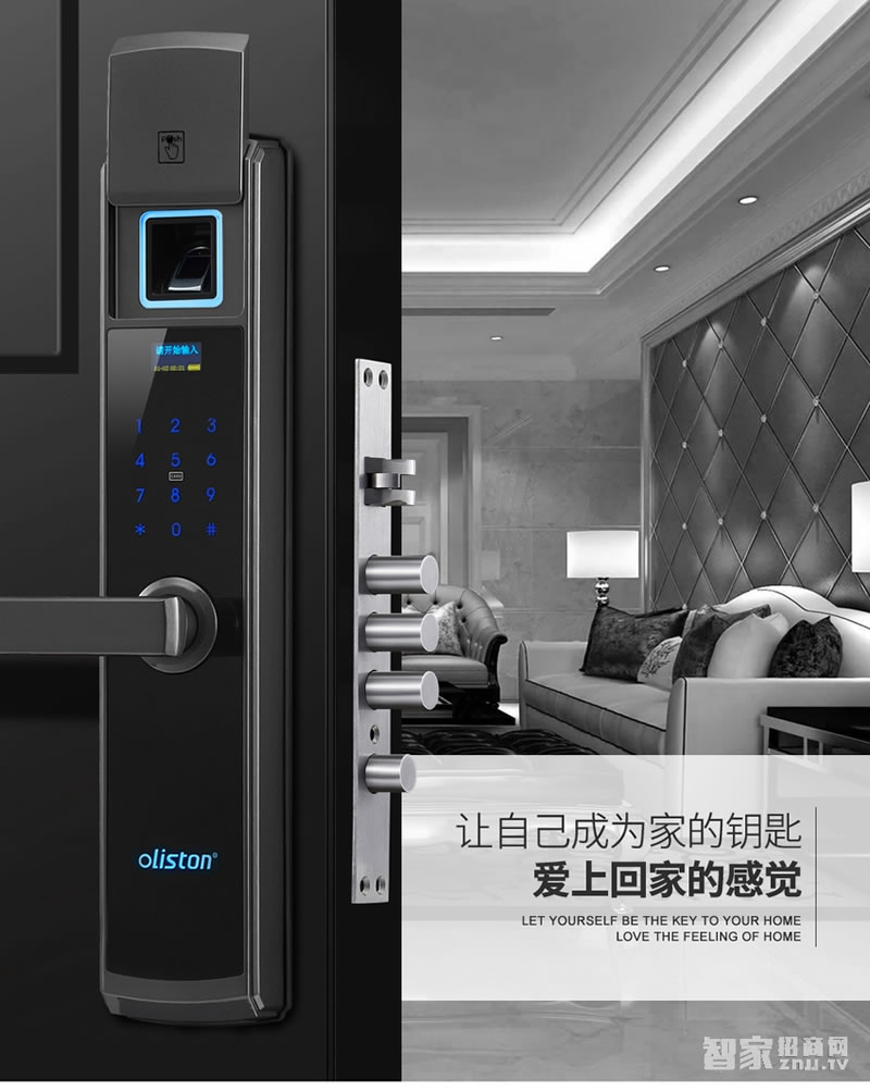 歐萊斯頓指紋鎖智能鎖防盜門家用電子鎖密碼鎖