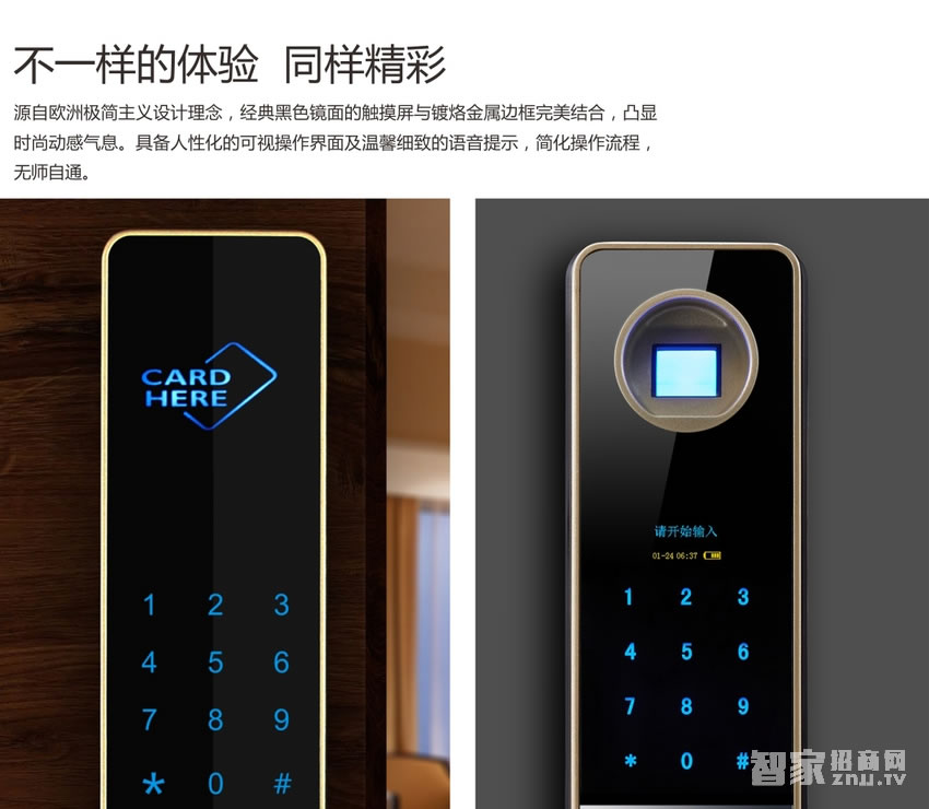 歐萊斯頓指紋鎖 密碼智能防盜門鎖