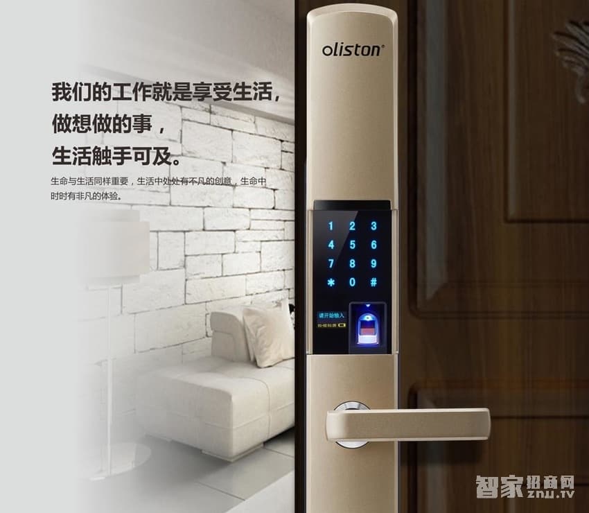 歐萊斯頓 指紋鎖智能鎖 家用防盜門鎖云電子鎖密碼鎖