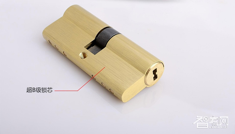 阿斯丹盾指紋密碼鎖 刷卡鎖 APP遠程開鎖