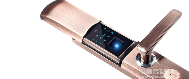 天喬紅古銅滑蓋智能指紋鎖 別墅防盜門鎖