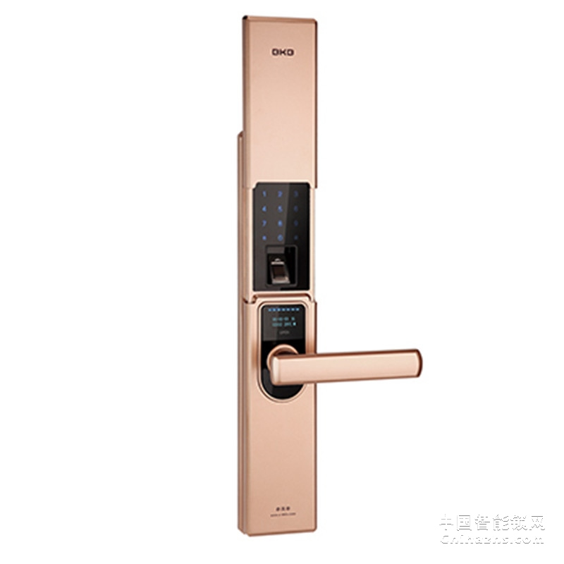 必凱必高檔滑蓋指紋鎖 別墅公寓防盜門鎖