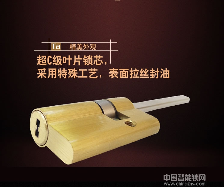 鑫鼎興智能鎖 家用全自動(dòng)指紋鎖 手機(jī)控制智能鎖