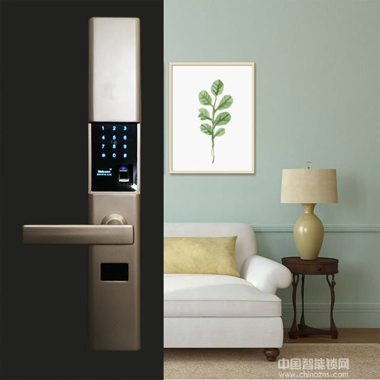 黑將軍指紋鎖 防貓眼設(shè)計家庭大門鎖 APP滑蓋半導(dǎo)體指紋鎖