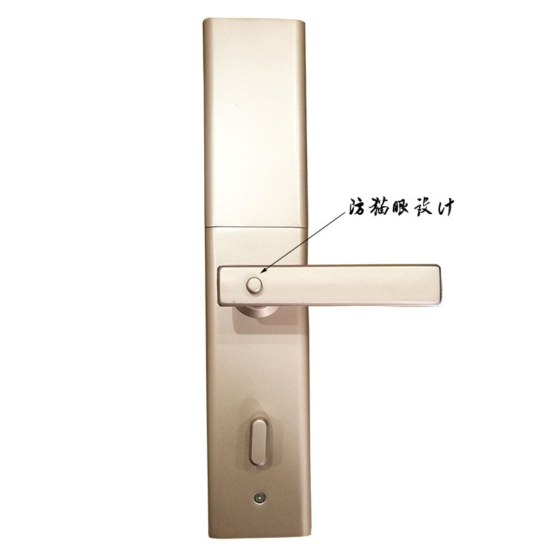 黑將軍指紋鎖 防貓眼設(shè)計家庭大門鎖 APP滑蓋半導(dǎo)體指紋鎖