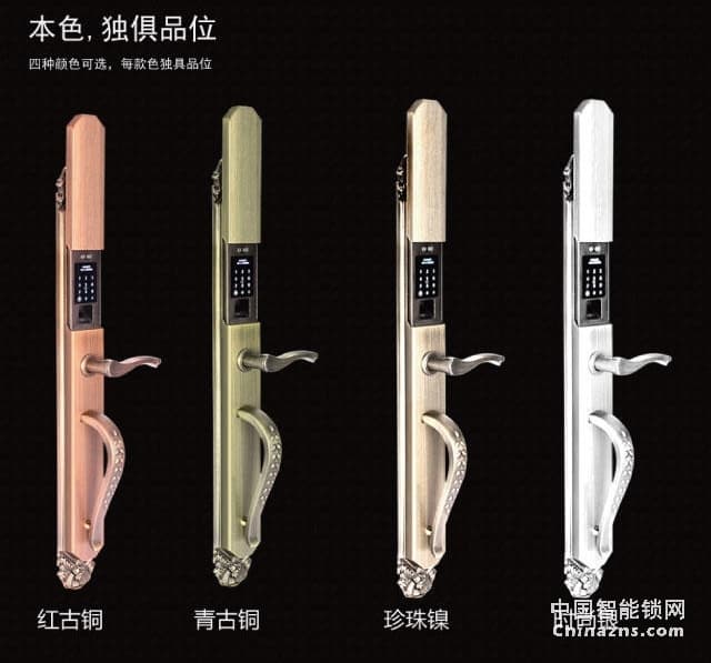 百思易智能門鎖L8866F 多種開鎖方式 別墅豪華指紋鎖