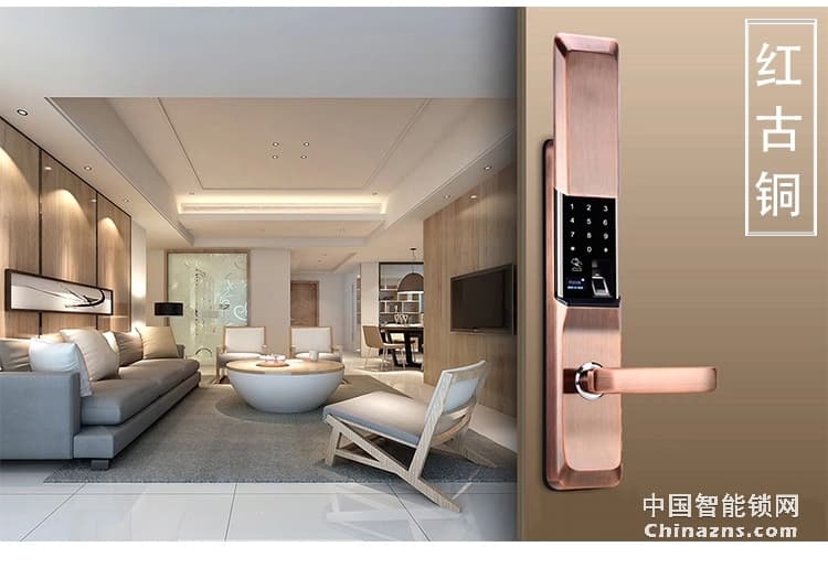 愛爾家防盜門智能鎖Y801 雙重認證/多種開鎖方式