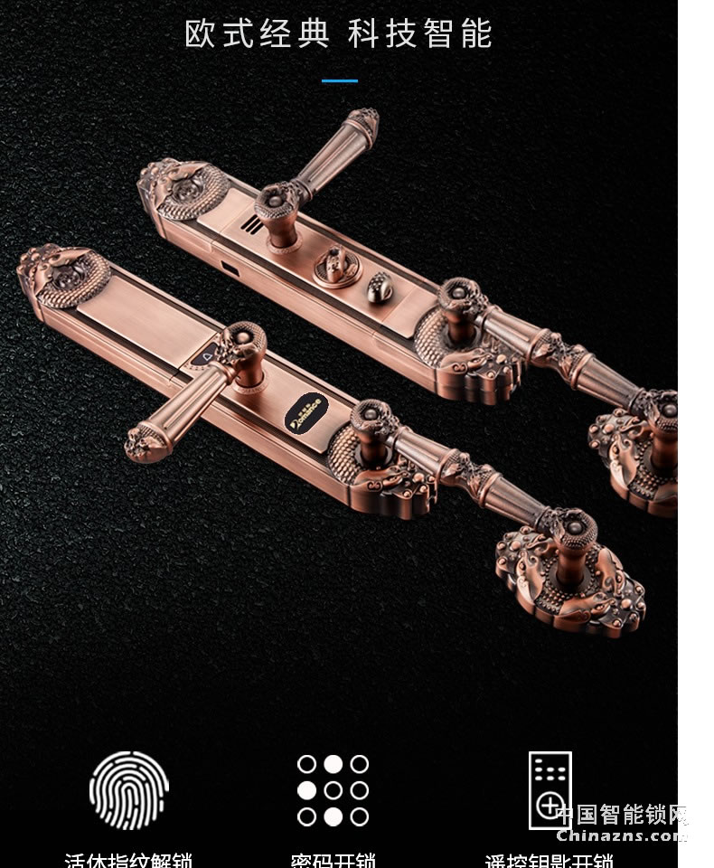 羅曼斯全自動智能鎖DD2 家用防盜門指紋鎖密碼電子入戶門鎖