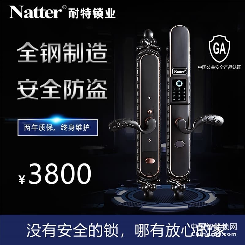 耐特豪華大銅門指紋鎖 安全防盜N5