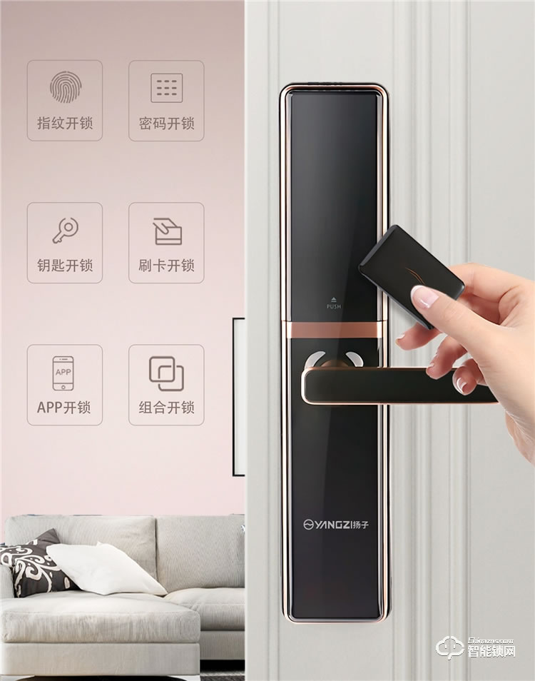 揚(yáng)子智能鎖 H2家用半自動(dòng)滑蓋智能鎖